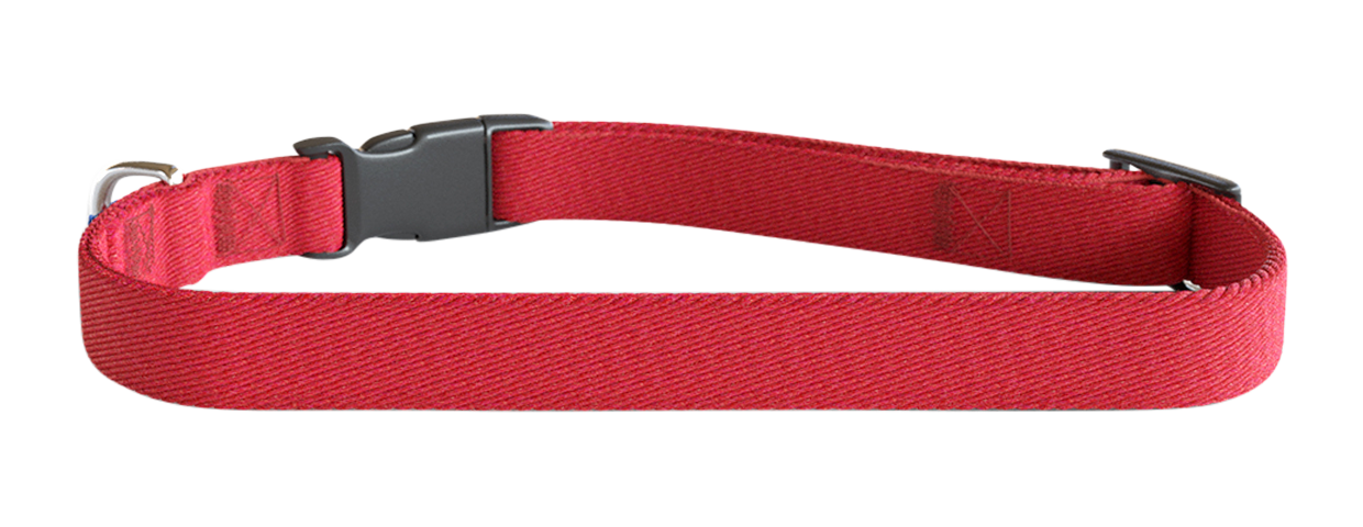 Zgardă cu Imprimeu Pentru Câini Guler brodat roșu pentru câine, 30-46 cm lungime, din nylon ușor, personalizabil cu numele și detalii câinelui.