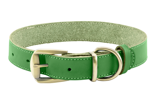 Guler de câine din piele autentică de lux, verde, durabil și puternic, material de calitate, cu cataramă.