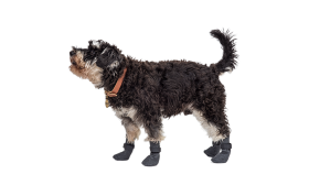 Set de patru șosete sport pentru câini gri, cu talpă antiderapantă, ușor pentru confortul câinilor, material ușor de curățat.