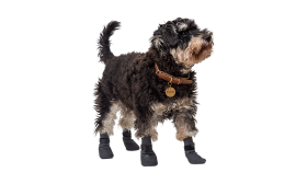 Set de patru șosete sport pentru câini gri, cu talpă antiderapantă, ușor pentru confortul câinilor, cauciuc antiderapant.