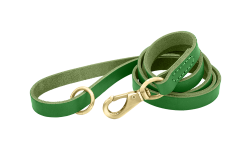 Leash de câine din piele naturală verde de lux, 150 cm lungime, confortabil, cu cataramă aurie și inel durabil.