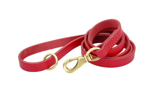 Leash de câine din piele naturală roșie de lux, 150 cm lungime, confortabil, cu cataramă aurie și inel durabil.