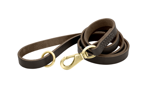 Leash de câine din piele naturală maro de lux, 150 cm lungime, confortabil, cu cataramă aurie și inel durabil.
