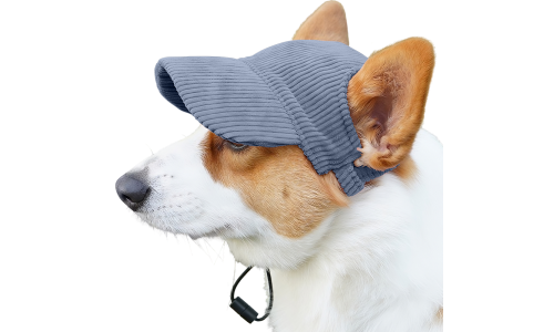 Corgi purtând o pălărie sport de câine din material respirabil, albastru, ușoară, pentru protecție solară vara.