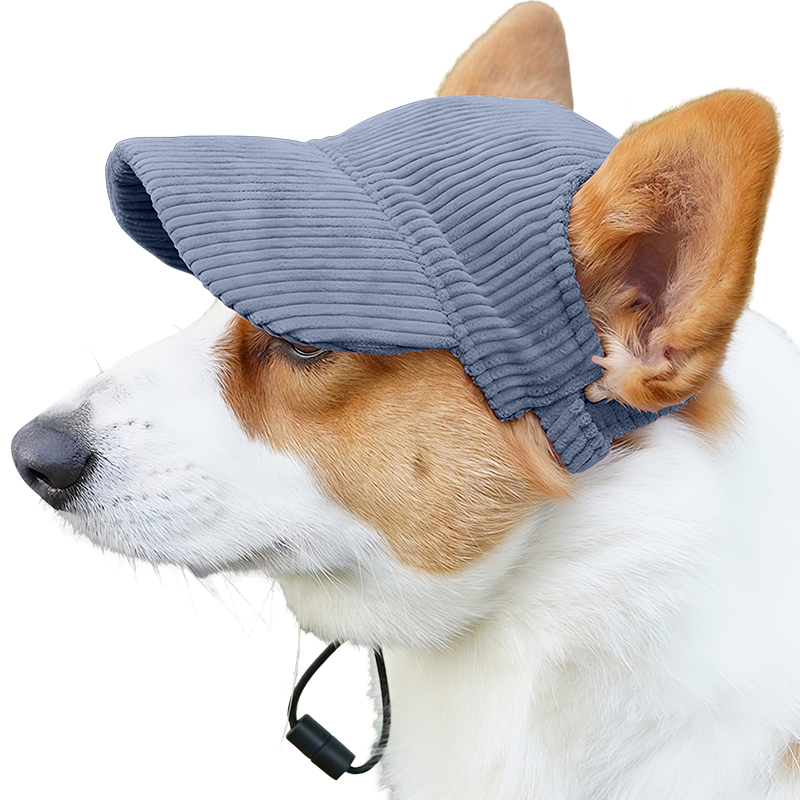 Șapcă Sport Pentru Câini Respirabilă Pentru Vară Corgi purtând o pălărie sport de câine din material respirabil, albastru, ușoară, pentru protecție solară vara.