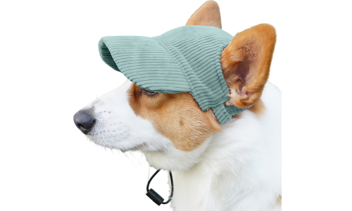 Corgi purtând o pălărie sport de câine din material respirabil, verde, ușoară, pentru protecție solară vara.