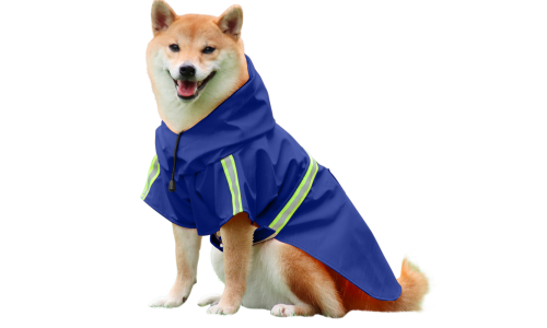 Shiba Inu în pelerină albastră impermeabilă cu benzi reflectorizante, curele ușor de fixat, ideală pentru plimbări ploioase.