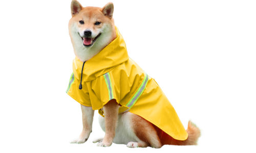 Shiba Inu în pelerină galbenă impermeabilă cu benzi reflectorizante, curele ușor de fixat, ideală pentru plimbări ploioase.