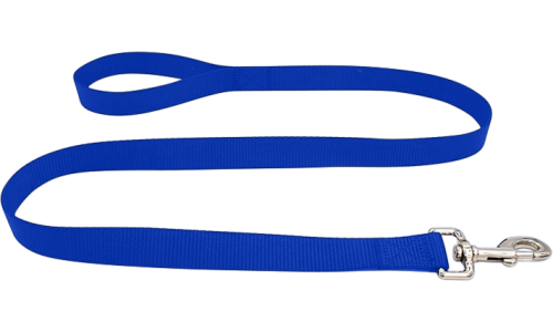 Leash pentru câine din nailon albastru, 120cm, ușor de curățat, material durabil și siguranță cu închizătoare argintie.