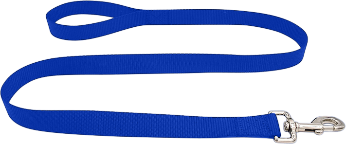 Lesă Rezistentă Pentru Câini Essential Leash pentru câine din nailon albastru, 120cm, ușor de curățat, material durabil și siguranță cu închizătoare argintie.