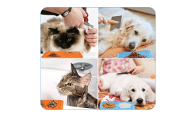 Covoraș de Hrănire Lentă Pentru Câini, Netoxic, cu Spatulă