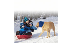 Guler pentru Câini anti-Anxietate pentru Protecția împotriva Zgomotului, Protecția Urechilor și Iarnă