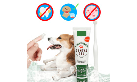Set Complet Pentru îngrijirea Orală a Câinilor: periuță de dinți, 2 periuțe de deget și pastă de dinți cu aromă de vanilie Set Complet Pentru îngrijirea Orală a Câinilor: periuță de dinți, 2 periuțe de deget și pastă de dinți cu aromă de vanilie