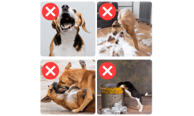 Botniță reglabilă reflectorizantă pentru câini – Respirabilă și confortabilă