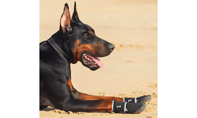 Botosei Câine Reflectorizanți 360° – Impermeabili și Anti-Alunecare pentru Protecția Lăbuțelor