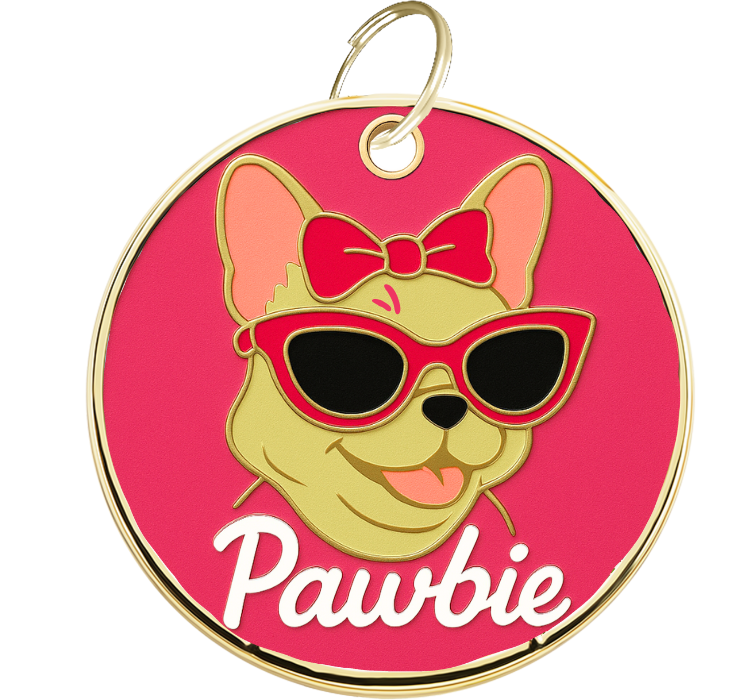Medalion gravat pentru câine Pawbie