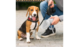 Sticlă pliabilă pentru apă pentru câini 550ml – Bol pentru călătorii pentru animale din silicon alimentar