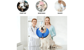 Zgardă Gonflabilă pentru Câini - Zgardă Reglabilă pentru Recuperare a Animalelor de Companie