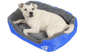 Pat Moale pentru Câini