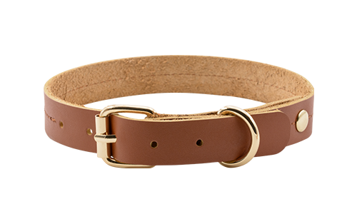 Zgardă din Piele Naturală de Lux Pentru Câini Guler de câine din piele autentică, maro deschis, 27-34 cm lungime, 2.2 cm lățime, cu cataramă aurie și inel D.
