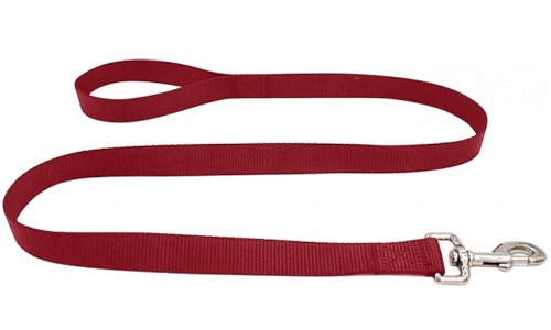 Leash pentru câine din nailon roșu, 120cm, ușor de curățat, material durabil și siguranță cu închizătoare argintie.